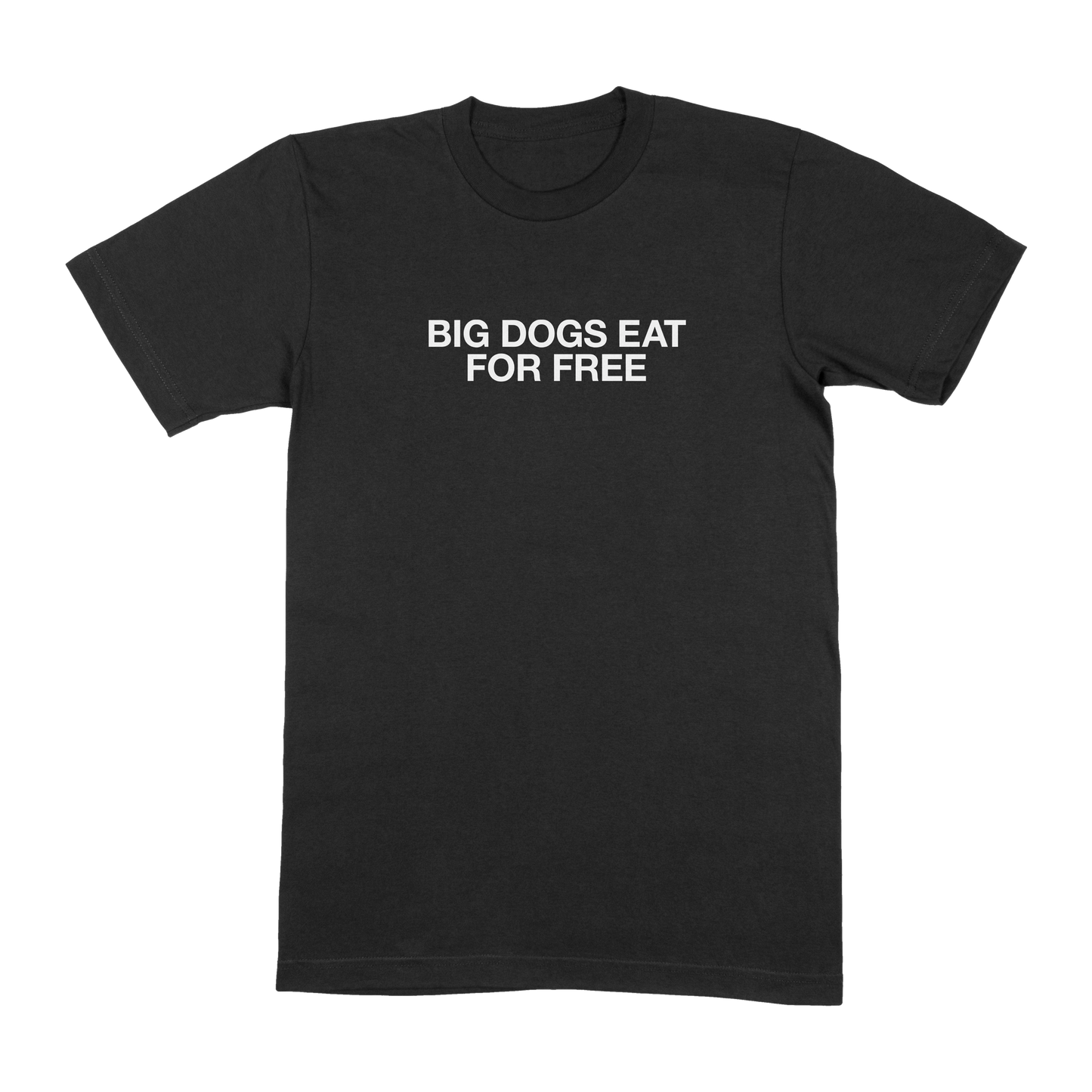 Big Dog T-shirt